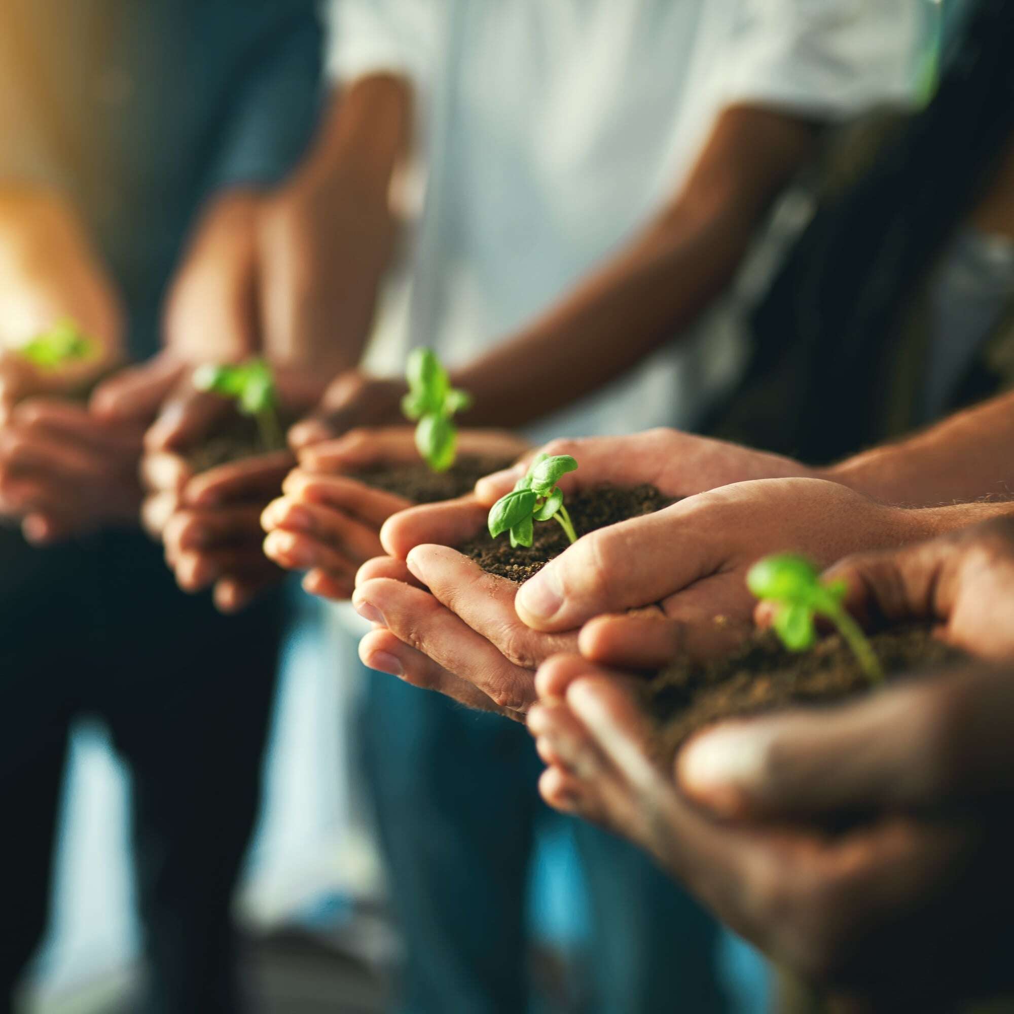 employees-sprouts-min