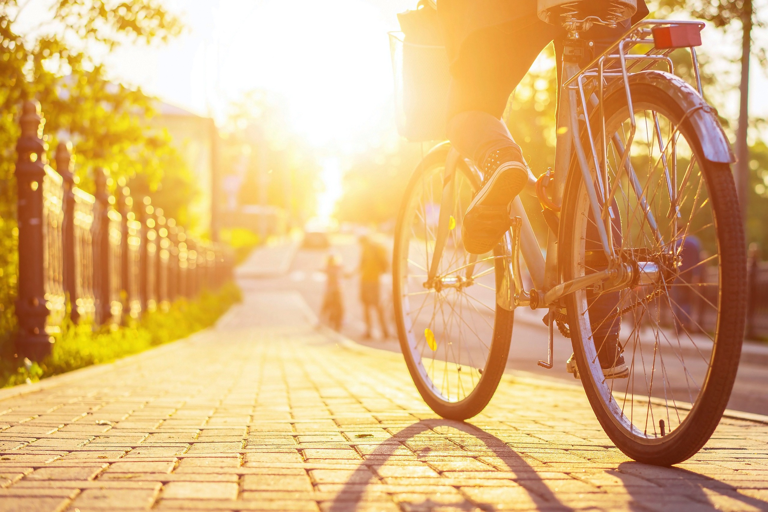 riding-bike-path-sunrise