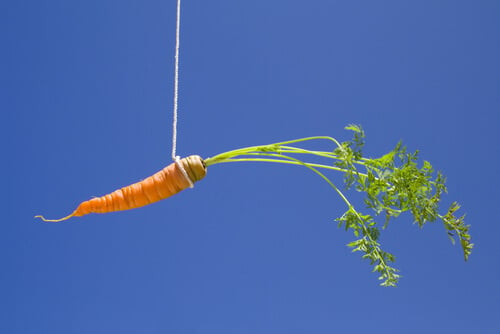 extrinsic-motivation-carrot