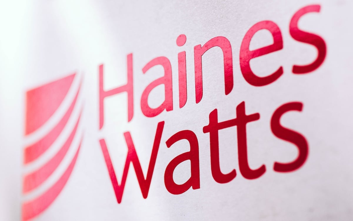 Haines Watts-6695